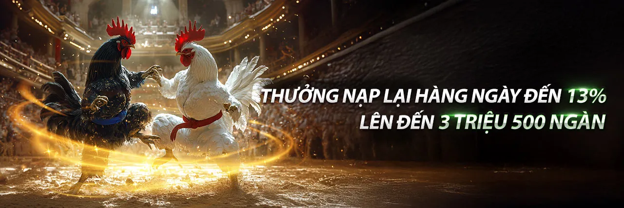 Đá Gà Trực Tiếp Thomo Ngày 24 Tháng 09